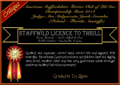 Staffwild Licence To Thrill.png